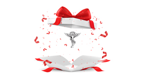 Fernandina Beach chiropractic care as  a gift