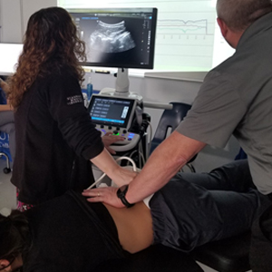 picture Fernandina Beach chiropractic ultrasound imaging of spinal vertebrae during treatment