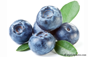 Fernandina Beach chiropractic and nutritious blueberries